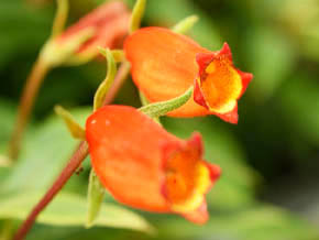 今日の心の糧イメージ