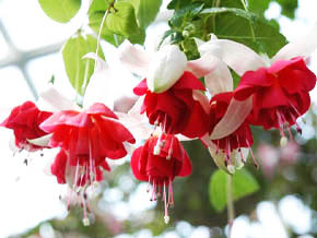 今日の心の糧イメージ