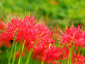 今日の心の糧イメージ