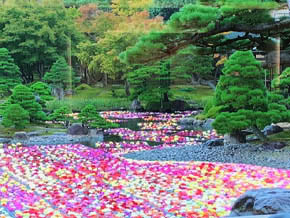 今日の心の糧イメージ