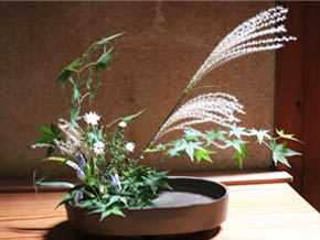 今日の心の糧イメージ