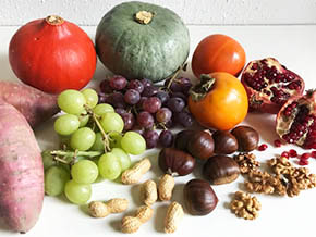 今日の心の糧イメージ