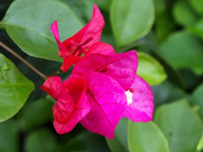 今日の心の糧イメージ