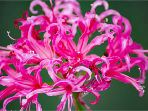 今日の心の糧イメージ