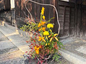 今日の心の糧イメージ