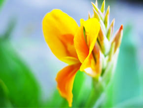 今日の心の糧イメージ