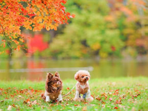 今日の心の糧イメージ