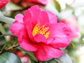 今日の心の糧イメージ