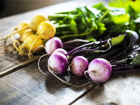 今日の心の糧イメージ