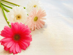 今日の心の糧イメージ