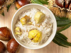 今日の心の糧イメージ