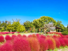 今日の心の糧イメージ