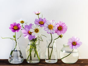 今日の心の糧イメージ