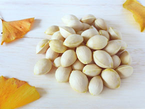 今日の心の糧イメージ