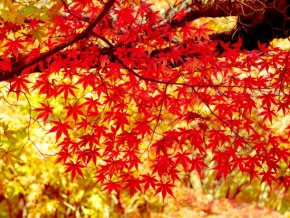 今日の心の糧イメージ