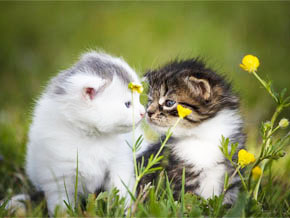 今日の心の糧イメージ