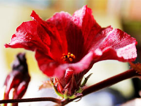 今日の心の糧イメージ