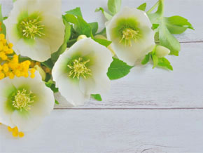 今日の心の糧イメージ