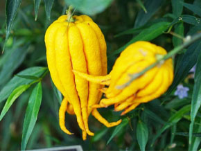 今日の心の糧イメージ