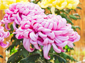 今日の心の糧イメージ