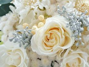 今日の心の糧イメージ