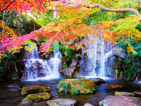 今日の心の糧イメージ