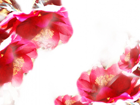 今日の心の糧イメージ