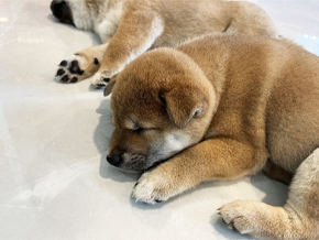 今日の心の糧イメージ