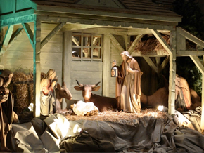 今日の心の糧イメージ