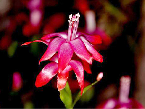 今日の心の糧イメージ