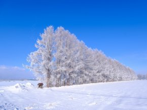 今日の心の糧イメージ