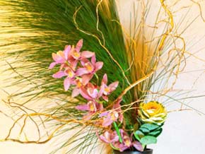 今日の心の糧イメージ