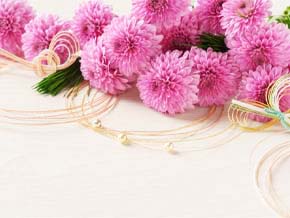 今日の心の糧イメージ