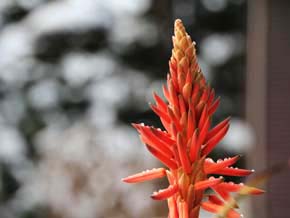 今日の心の糧イメージ