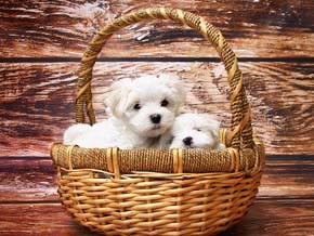 今日の心の糧イメージ