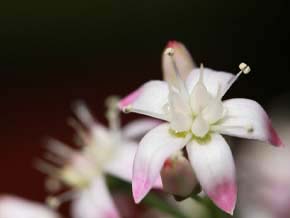 今日の心の糧イメージ