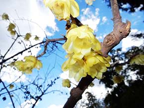 今日の心の糧イメージ