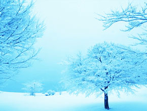 今日の心の糧イメージ