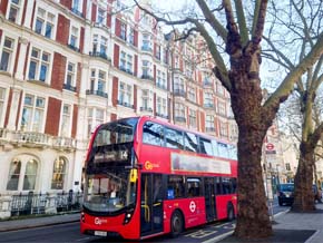 今日の心の糧イメージ