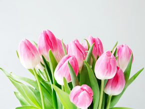 今日の心の糧イメージ