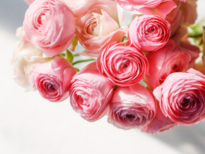 今日の心の糧イメージ