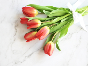 今日の心の糧イメージ