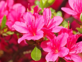 今日の心の糧イメージ