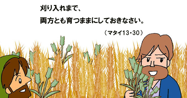 7月23日 年間第16主日 マタイ13・24-43(24-30) - 聖書の言葉｜心のともしび