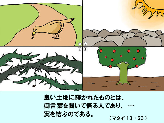 毎週の神の御言葉