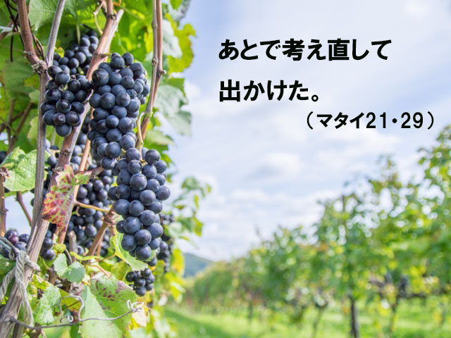 毎週の神の御言葉